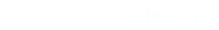 304永利集团官网入口